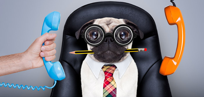 Horaires d'ouverture de l'accueil téléphonique