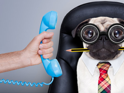 Horaires d'ouverture de l'accueil téléphonique